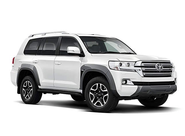 Auckland Diesel Car Service Experts